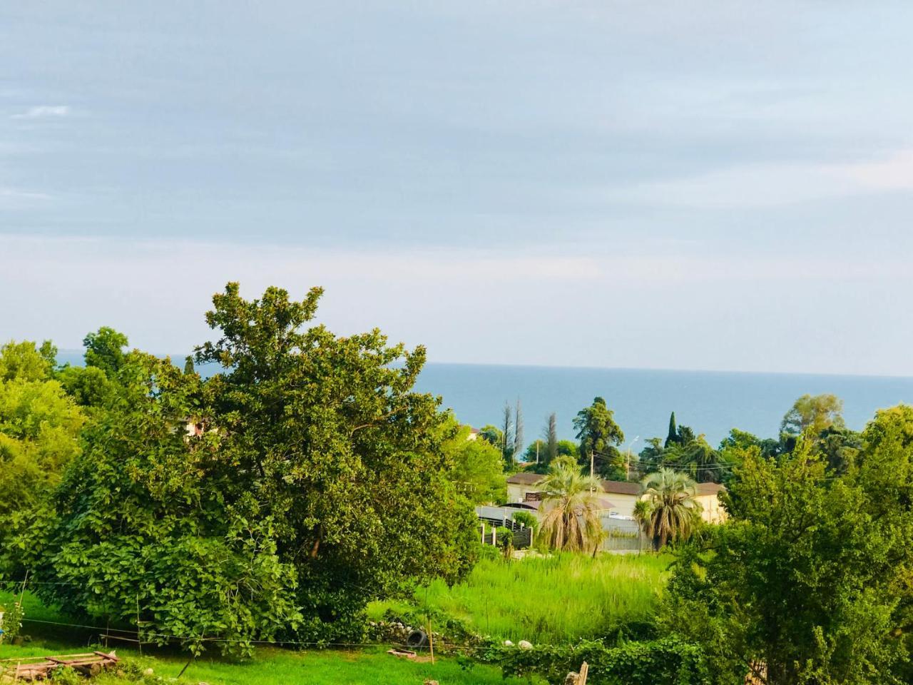 Palm Hotel New Athos Екстер'єр фото
